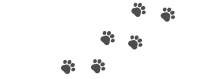 miaow