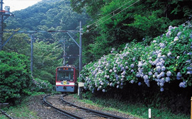 Dağların arasından geçen tren yolu (Hakone)