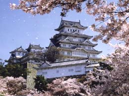 Himeji Kalesi