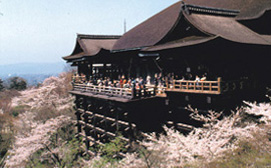 Kiyomizu Tapınağı