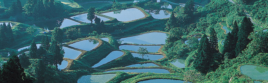 Tanada