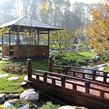 Japon bahcesi