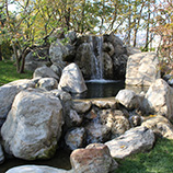 Japon bahcesi