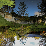Japon bahcesi