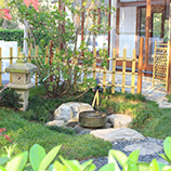Japon bahcesi