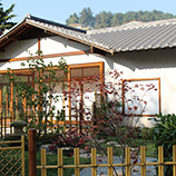 Japon bahcesi